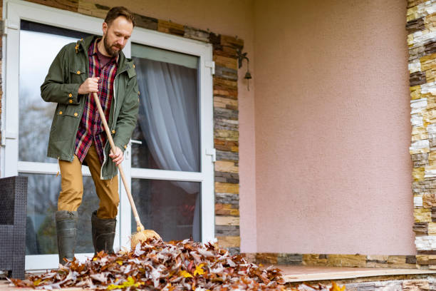Best Yard Cleanup Services  in Licking, MO
